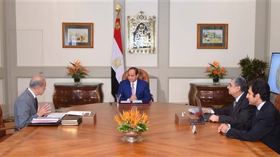 السيسي يوجه بسرعة الانتهاء من مشروعات الربط الكهربائي مع دول الجوار