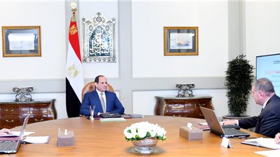 السيسي يوجه بمواصلة جهود تطوير شركات قطاع الأعمال العام