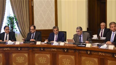 الحكومة تناقش خطة للقضاء على فيروس سي بحلول 2020