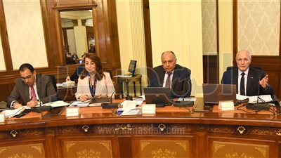 الحكومة: إختيار شركة لادارة وتشغيل الخدمات بالمتحف المصرى الكبير