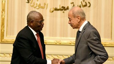 مصر توقع مذكرة تفاهم للتعاون الاقتصادى والاجتماعى مع دول الاتحاد الإفريقى