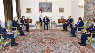 السيسي يبحث مع وفد 
