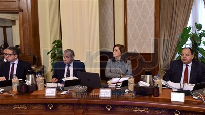 بروتوكول تعاون لإنهاء التشابكات بين «المالية» و«القابضة لكهرباء مصر»