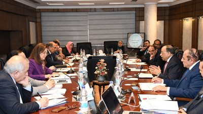 «التنمية المحلية»: إتاحة 2 مليار جنيه لترفيق المناطق الصناعية بقنا وسوهاج