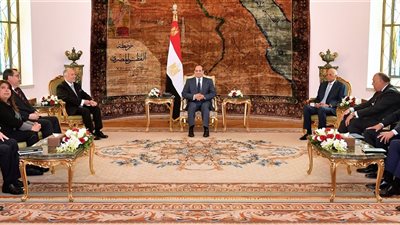 السيسي يبحث مع رئيس مجلس النواب الشيلي سبل تعزيز التعاون بين البلدين