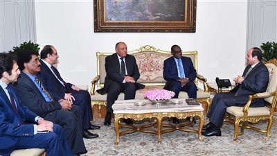 السيسي يبحث ووزير خارجية السودان تعزيز التعاون المشترك