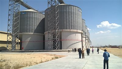 توريد 183 ألف طن قمح لشون وصوامع بني سويف