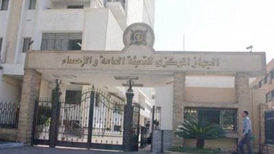 ارتفاع صادرات مصر من القطن الى 379.7 ألف قنطار بالربع الثانى من العام