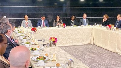 «المشاط»: ربط استراتيجية التعاون مع البنك الدولى بأهداف التنمية المستدامة