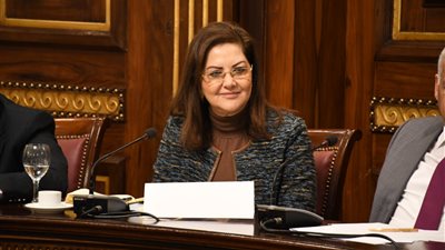 وزيرة التخطيط: 99,5 مليار جنيه استثمارات قطاع الصناعة خلال 2018-2019