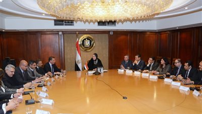 نيفين جامع: القطاع الخاص شريك رئيسي في تنفيذ خطط التنمية الاقتصادية