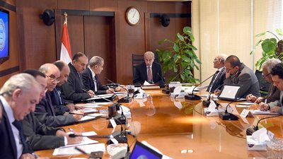 رئيس الوزراء: استيراد كميات من الأرز بجودة المصري لضبط السوق 