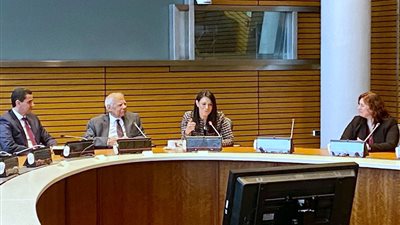 وزيرة التعاون الدولى تلتقى المصريين العاملين بالبنك الدولى وصندوق النقد