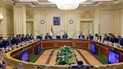 «مدبولي»: لا توجد أي حالة إصابة بفيروس كورونا في مصر