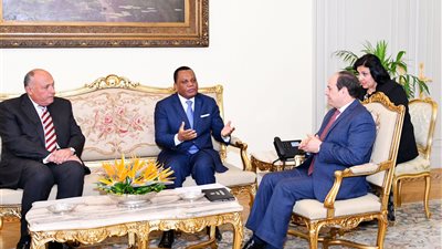 السيسي يتسلم رسالة من رئيس الكونغو بشأن تطورات القضية الليبية
