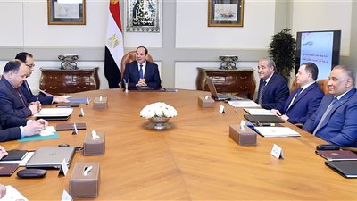 السيسي يوجه بتوفير السلع الأساسية واحتياجات المواطنين بأسعار مناسبة