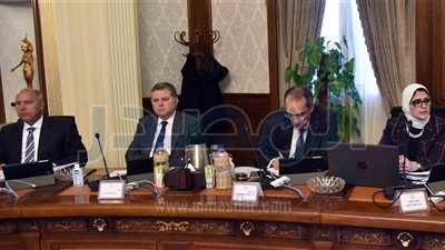 مجلس الوزراء يقر ضوابط الحصول على تأشيرات دخول مصر