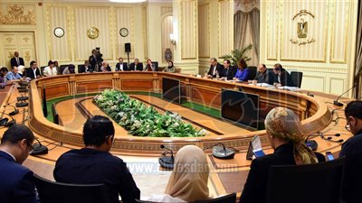 الوزراء: تخصيص قطعة أرض بمطروح لشركة البحيرة لتوزيع الكهرباء