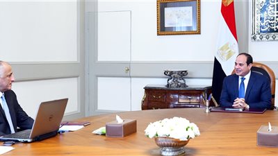 السيسي يوجه باتخاذ الإجراءات اللازمة للحفاظ على الاستقرار الاقتصادي والنقدي