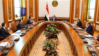 السيسي يوجه بتوفير السلع الأساسية وتعزيز الاحتياطي الاستراتيجي منها