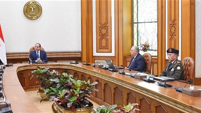 السيسى يوجه بالتوسع في رقعة استصلاح الأراضي على مستوى الجمهورية
