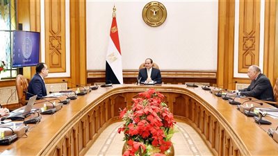 السيسى يوجه بمواصلة جهود إعادة المواطنين العالقين في الخارج