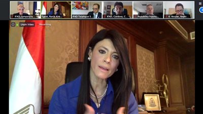 «المشاط»: نتعاون مع المؤسسات الدولية لتخفيف الآثار السلبية لـ «كورونا»