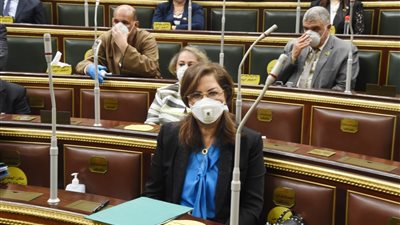 وزيرة التخطيط: 740 مليار جنيه استثمارات كلية بخطة 2020-2021