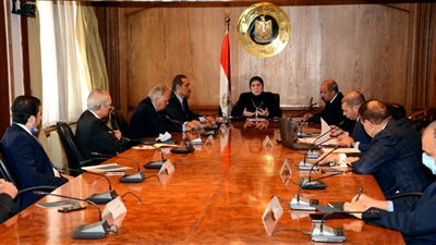وزيرة التجارة تصدر قراراً بإعادة تشكيل المجالس التصديرية