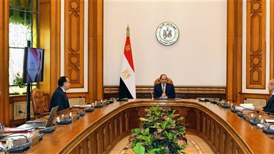 السيسي يوجه بتحقيق الاكتفاء الذاتي من المحاصيل ودعم مشروع البتلو