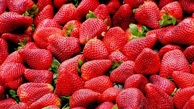 «الصناعات الغذائية»: مصر الأولى عالمياً فى تصدير الفراولة المجمدة