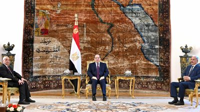 يتضمن وقف إطلاق النار.. السيسى يطلق «إعلان القاهرة» لحل الأزمة الليبية