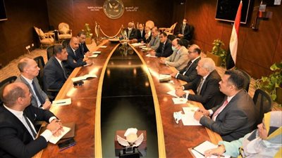 «الرقابة المالية» و«الاستثمار» يشكلان لجنة تنسيقية دائمة لتطبيق القرارات التنفيذية 