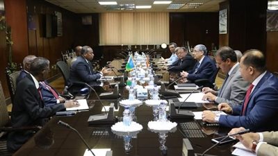 «شاكر» يبحث مع وزير الطاقة الجيبوتي التعاون المشترك بقطاع الكهرباء والطاقة المتجددة