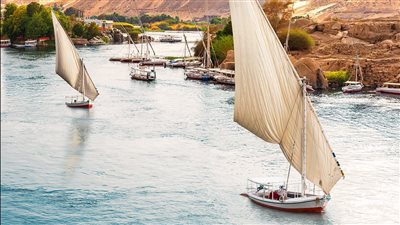 السياحة: زيادة معدلات البحث الإلكتروني عن مصر بنسبة 151% خلال 7 أشهر 