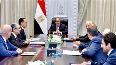 السيسي يبحث مع «كوبيلوزيس» اليونانية تنفيذ مشروع لإنتاج الكهرباء من الطاقة المتجددة 