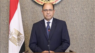  الخارجية: بيان إثيوبيا بشأن قمة جدة محاولة يائسة للوقيعة بين العرب والأفارقة