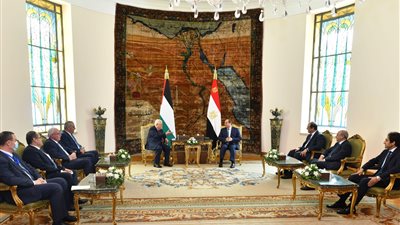 السيسي يؤكد استمرار مصر في تقديم الدعم الممكن للقضية الفلسطينية