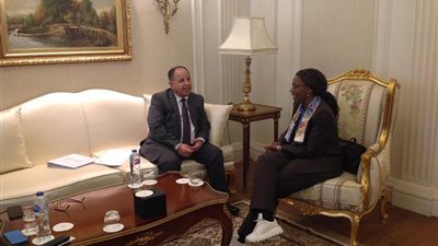 وزير المالية يبحث آليات تحقيق الأمن الغذائي على المستوى القارى