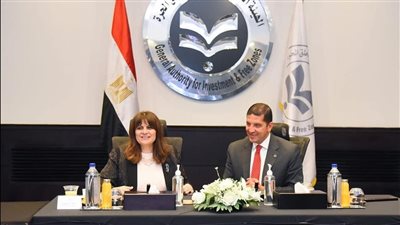 رئيس هيئة الاستثمار يبحث آليات إنشاء شركة مساهمة للمصريين بالخارج 