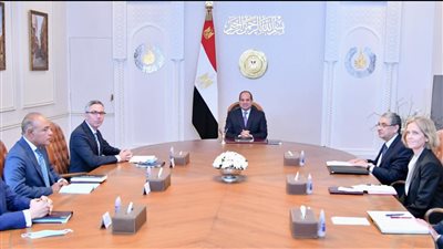 السيسي يبحث مع «سكاتك» النرويجية إقامة مشروع لإنتاج الكهرباء من طاقة الرياح