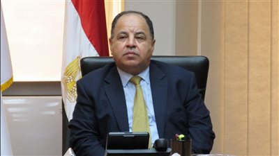 وزير المالية: تشكيل أول لجان طعن ضريبي «مدمجة» للتيسير على الممولين 