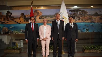 ياسمين فؤاد تبحث مع كبير وزراء سنغافورة التعاون المشترك في مؤتمر COP27 