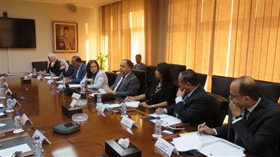 وزير المالية: شركة مساهمة للمصريين بالخارج لتعظيم دورهم في تعزيز الاستثمار