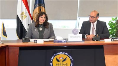 «الهجرة» و«الرقابة المالية» يبحثان فرص زيادة استثمارات المصريين بالخارج 