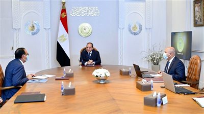 رئاسة الجمهورية: 150 شركة وطنية تعمل فى إنشاء الخط الأول من القطار الكهربائى