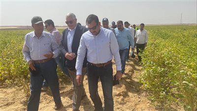وزير الزراعة يوجه بتقديم الدعم الفني الكامل لمشروع مستقبل مصر
