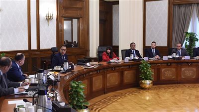 رئيس الوزراء يبحث سبل تحفيز استثمارات المصريين في الخارج
