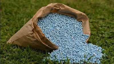 التصديري للصناعات الكيماوية: فرص واعدة للمنتجات المصرية في تنزانيا