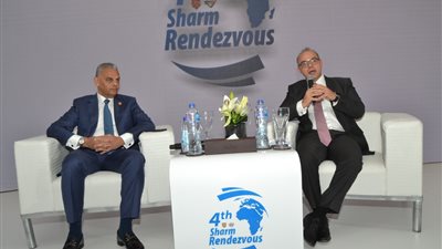 رئيس هيئة الرقابة المالية: ربط شركات التأمين بقواعد البيانات